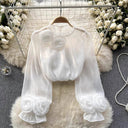 Women's 3D Rose Sheer Blouse – Mock Neck Long Sleeve Floral Applique Dressy Top