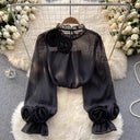 Women's 3D Rose Sheer Blouse – Mock Neck Long Sleeve Floral Applique Dressy Top